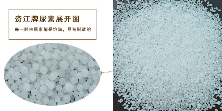 尿(niào)素生産(chǎn)廠家